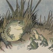 frogandtheox